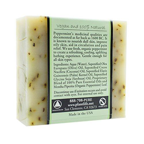 Peppermint 100% Pure & Natural Aromatherapy Herbal Soap- 4 oz (113g) Natural Soap Plantlife 