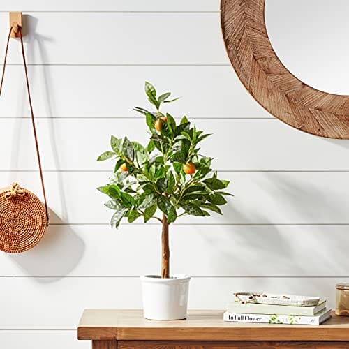 Amazon Brand - Stone & Beam Artificial Orange Citrus Tree with Ceramic Pot, 2 Feet (24 Inches), Indoor Home Stone & Beam 