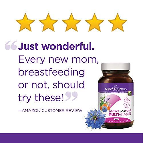 New Chapter Perfect Postnatal Vitamins, Lactation Supplement with Fermented Probiotics + Wholefoods + Vitamin D3 + B Vitamins + Organic Non-GMO Ingredients - 270 ct New Chapter 