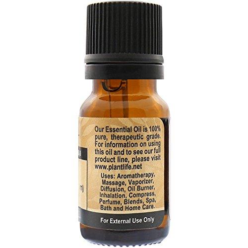 Clove Bud 100% Pure Essential Oil - 10 ml Essential Oil Plantlife 