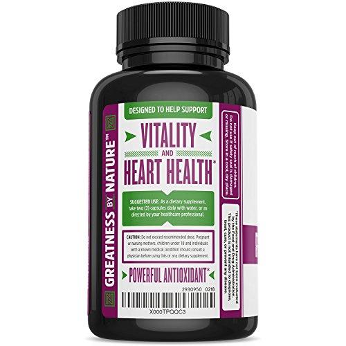 Resveratrol Supplement for Healthy Aging, Immune System & Heart Health Support - Standardized to 50% Trans Resveratrol - Powerful Antioxidant Benefits - 60 Vegetarian Capsules Supplement Zhou Nutrition 