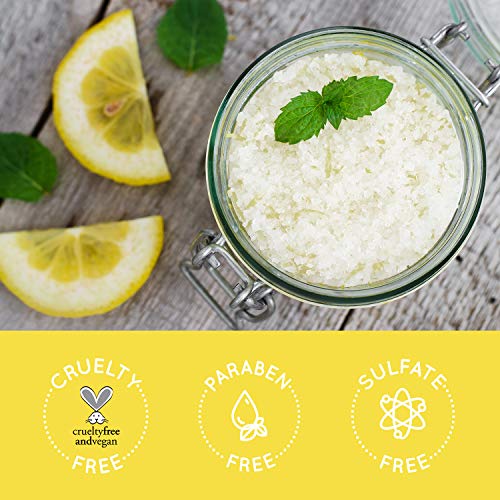 O Naturals Rejuvenating Lemon & Mint Dead Sea Salt Face & Body Scrub. Refreshes, Exfoliates, Tones & Treats Oily Skin, Acne. Anti-Aging. Antiseptic, Antimicrobial. Sweet Almond & Argan Oil 8.45 Oz Skin Care O Naturals 