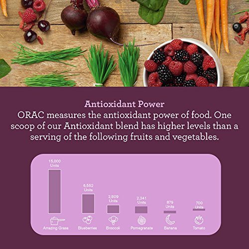 Amazing Grass Green Superfood Antioxidant Organic Powder with Wheat Grass, Elderberry, and Greens, Flavor: Sweet Berry, 60 Servings Supplement Amazing Grass 