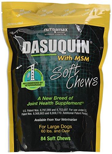 Nutramax Dasuquin with MSM Soft Chews, Large Dog, 84 Count Animal Wellness Nutramax 