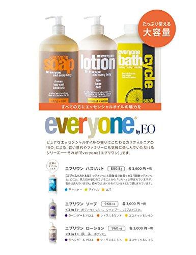 Everyone Lotion, Lavender and Aloe, 32 Ounce, 3 in1 hand,face,body Skin Care Everyone 