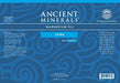 Ancient Minerals Magnesium Oil Ultra with OptiMSM, Refill 33.8 oz. - Pure Genuine Zechstein Magnesium Chloride Supplement with MSM - Best Topical Skin Application for Dermal Absorption Supplement Ancient Minerals 