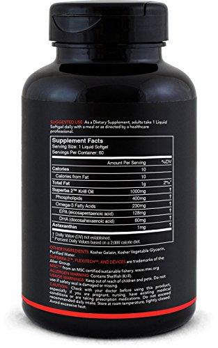 Antarctic Krill Oil (Double Strength) with Omega-3s EPA, DHA and Astaxanthin (60 Softgels - 1000mg) Supplement Sports Research 