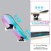 ANDRIMAX Skateboards-Complete Skateboards for Beginners Kids Boys Girls Adults Youth-Standard Skateboards 31’’x8’’ with 7 Lays Maple Deck Pro Skateboards, Longboard Skate Boards Sports ANDRIMAX 