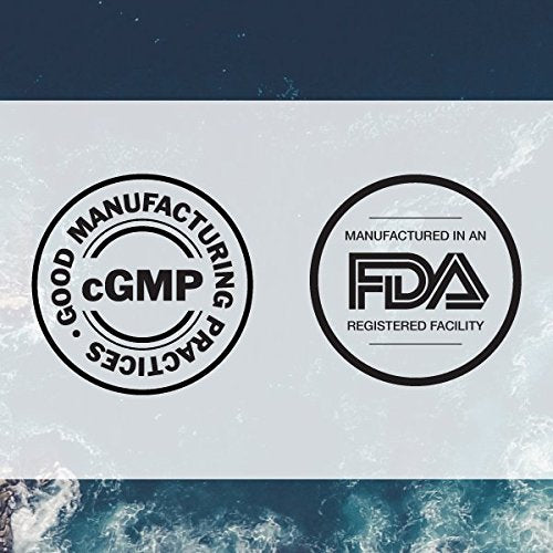 Ancient Minerals Magnesium Oil Spray Bottle of Pure Genuine Zechstein Magnesium Chloride - Topical Magnesium Supplement for Skin Application and Dermal Absorption (33.8oz) Supplement Ancient Minerals 