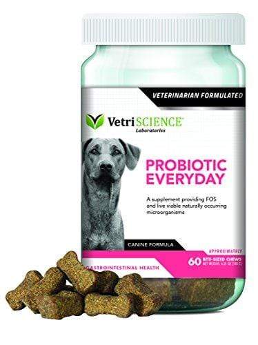 VetriScience Laboratories Probiotic Everyday for Dogs, Digestive Health Supplement-60 Bite Sized Soft Chews Animal Wellness VetriScience Laboratories 