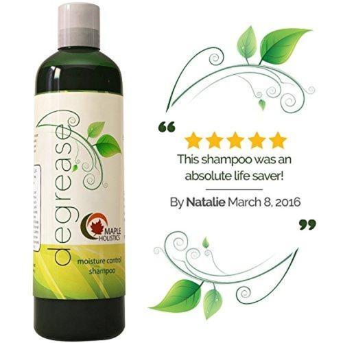 Shampoo for Oily Hair & Oily Scalp Beauty & Health Maple Holistics 
