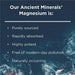 Ancient Minerals Goodnight Magnesium Lotion with Melatonin and OptiMSM - Night Cream of Topical Nighttime Moisturizing Lotion formulated for Bedtime Absorption (2.5oz) Supplement Ancient Minerals 