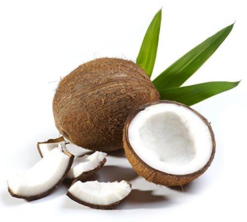 Advanced Clinicals Coconut Oil Cream. Spa size 16oz Moisturizing Cream. Coconut Oil for Face, Hands, Hair. Skin Care Advanced Clinicals 
