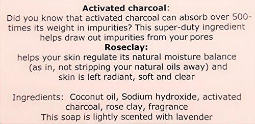 Activated Charcoal & Rose Clay Spa Bar (10.5 oz) - Pure Coconut Oil Soap. Handmade, Vegan, Natural, Moisturizing, Natural Soap Splendor Santa Barbara 