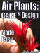 Air Plant Shop's Tillandsia Ionantha - 5 Pack - Free PDF Air Plant Care eBook with Every Order - 5 Pack Air Plant Variety - Fast Shipping from Florida Skin Care The Air Plant Shop 
