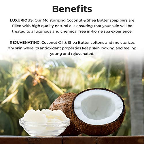 O Naturals Moisturizing Organic Coconut Oil, Shea Butter 3 Piece Bar Soaps. Softens & Nourishes Dry Skin. Face & Body Wash. Made in USA. Triple Milled, Vegan. 4 Ounce Each Skin Care O Naturals 