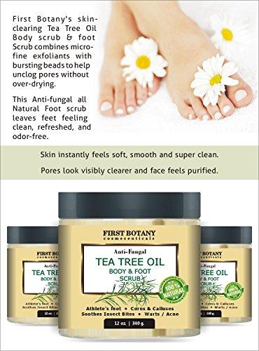 100% Natural Anti Fungal Tea Tree Oil Body & Foot Scrub 12 oz. with Dead Sea Salt - Best for Acne, Dandruff and Warts, Helps with Corns, Calluses, Athlete foot, Jock Itch & Body Odor Skin Care First Botany Cosmeceuticals 