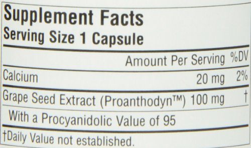 Source Naturals Proanthodyn Grape Seed Extract 100mg Antioxidant Protection - 120 Capsules Supplement Source Naturals 