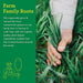 Amazing Grass Green Superfood Organic Powder with Wheat Grass and Greens, Flavor: Original, Box of 15 Individual Servings Supplement Amazing Grass 