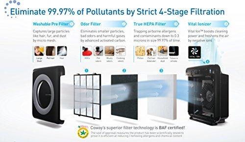 Mighty Air Purifier with True HEPA and Eco Mode Accessory Coway 