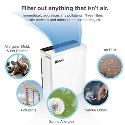 LEVOIT LV-PUR131 Air Purifier with True HEPA Filter Accessory LEVOIT 
