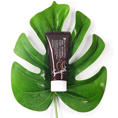 Mizon Snail Repairing Foam Cleanser, 1.92 Ounce Skin Care MIZON 