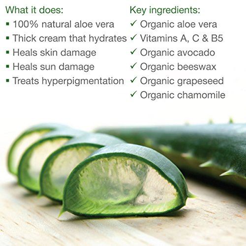 Organic Aloe Vera Lotion - with Vitamin C & Organic Jojoba Skin Care Made from Earth 