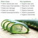 Organic Aloe Vera Lotion - with Vitamin C & Organic Jojoba Skin Care Made from Earth 