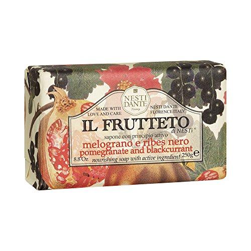 Nesti Dante Nesti dante il frutteto nourishing soap - pomegranate and blackcurrant, 8.8oz, 8.8 Ounce Natural Soap Nesti Dante 