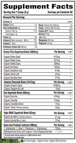 Greens+ Organic Superfood Amazon Chocolate | Essential Blend of Raw Green Foods, Superfruits and Sea Vegetables Powder | Vegan | USDA Organic | Non - GMO, Soy Dairy & Gluten-Free | Size 8.46oz Supplement Greens+ 