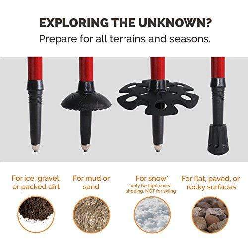 TrailBuddy Walking Poles - 2-pc Pack Collapsible Trekking or Hiking Sticks - Strong, Lightweight Aluminum 7075 - Quick Adjust Flip-Lock - Cork Grip, Padded Strap - Free Bag, Accessories (Beetle Red) Trekking poles TrailBuddy 