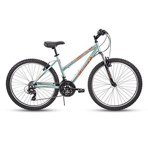 Ladies bike 17 online inch frame