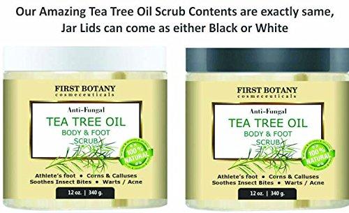 100% Natural Anti Fungal Tea Tree Oil Body & Foot Scrub 12 oz. with Dead Sea Salt - Best for Acne, Dandruff and Warts, Helps with Corns, Calluses, Athlete foot, Jock Itch & Body Odor Skin Care First Botany Cosmeceuticals 