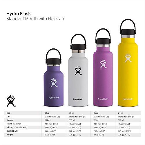 Hydro Flask 24 oz Double Wall Vacuum Insulated Stainless Steel Leak Pr —  ShopWell