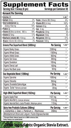 Greens+ Organic Superfood Raw | Essential Blend of Raw Green Foods, Superfruit and Sea Vegetables Powder | Vegan | USDA Organic | Dietary Supplement | Non - GMO, Soy Dairy & Gluten-Free | Size 8.46oz Supplement Greens+ 