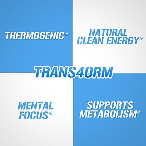Evlution Nutrition Trans4orm Thermogenic Energizing Fat Burner Supplement, Increase Weight Loss, Energy and Intense Focus (60 Servings) Supplement Evlution 