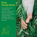 Amazing Grass Green Superfood Organic Powder with Wheat Grass and Greens, Flavor: Original, 30 Servings Supplement Amazing Grass 