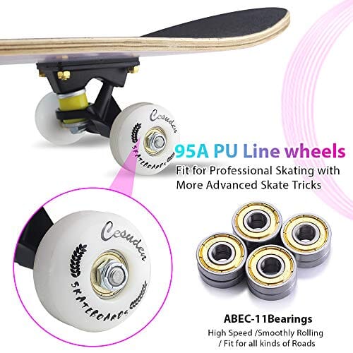 ANDRIMAX Skateboards-Complete Skateboards for Beginners Kids Boys Girls Adults Youth-Standard Skateboards 31’’x8’’ with 7 Lays Maple Deck Pro Skateboards, Longboard Skate Boards Sports ANDRIMAX 