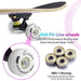 ANDRIMAX Skateboards-Complete Skateboards for Beginners Kids Boys Girls Adults Youth-Standard Skateboards 31’’x8’’ with 7 Lays Maple Deck Pro Skateboards, Longboard Skate Boards Sports ANDRIMAX 