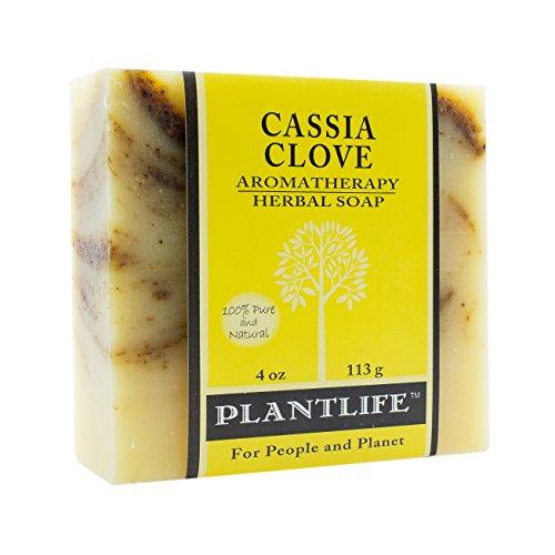 Cassia Clove 100% Pure & Natural Aromatherapy Herbal Soap- 4 oz (113g) Natural Soap Plantlife 