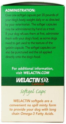 Nutramax Welactin 3 - Canine 120 - Softgel Caps Animal Wellness Nutramax 