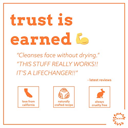 Eve Hansen Vitamin C Face Wash | HUGE 8 oz Anti-Aging Skin Cleanser for Dark Circles, Age Spots and Fine Lines | Blackhead Remover, Hyperpigmentation Treatment, Pore Minimizer Gel Face Cleanser Skin Care Eve Hansen 