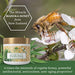 Amazing Aloe Vera Manuka Honey Moisturizing Cream for Face and Body - Gentle, Effective and Soothing for All Skin Types and Conditions - for Women, Men, Kids, Babies - by Green Leaf Naturals - 4 oz Skin Care Green Leaf Naturals 