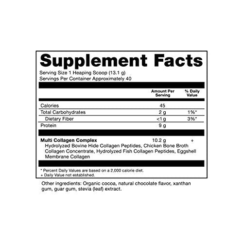 Ancient Nutrition Multi Collagen Protein Powder, Chocolate Flavor - 40 Servings Supplement Ancient Nutrition 