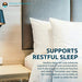 Source Naturals Sleep Science Melatonin 1mg Peppermint Flavor Promotes Restful Sleep and Relaxation - Supports Natural Sleep/Wake Patterns and Rhythms - 300 Lozenges Supplement Source Naturals 