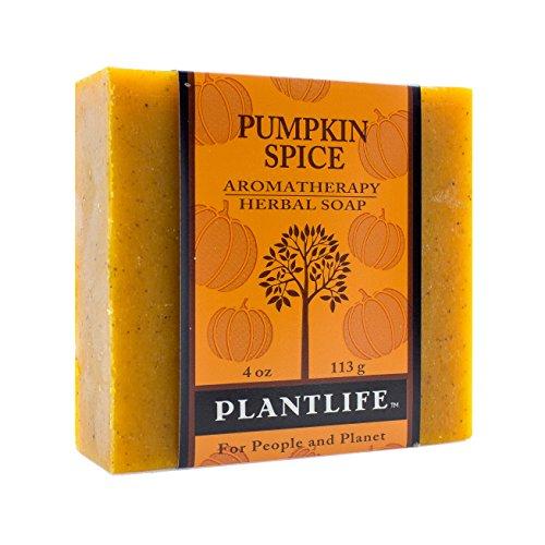 Pumpkin Spice 100% Pure & Natural Aromatherapy Herbal Soap- 4 oz (113g) Natural Soap Plantlife 