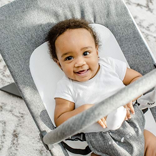 Baby Delight Alpine Deluxe Portable Bouncer, Infant, 0 – 6 months, Charcoal Tweed Baby Product Baby Delight 