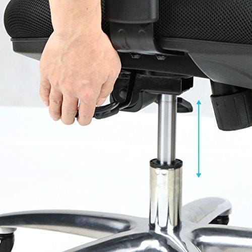 Duramont Ergonomic Office Chair - Adjustable Desk Chair with Lumbar Support  and Rollerblade Wheels - High Back Chairs with Breathable Mesh - Thick Seat  Cushion, Head, and Arm Rests - Reclines 