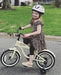 JOYSTAR 12" 14" 16" Kids Cruiser Bike with Training Wheels for Ages 2-6 Years Old Girls & Boys, Toddler Kids Bicycle Skin Care JOYSTAR 