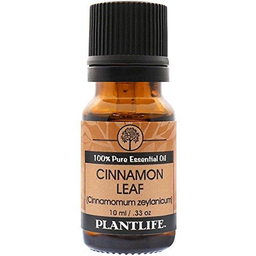 Cinnamon Leaf 100% Pure Essential Oil - 10 ml Essential Oil Plantlife 